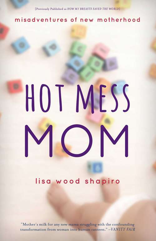 Book cover of Hot Mess Mom: Misadventures of New Motherhood