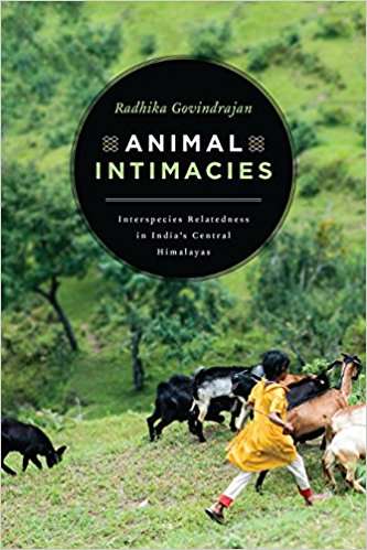 Book cover of Animal Intimacies: Interspecies Relatedness in India's Central Himalayas