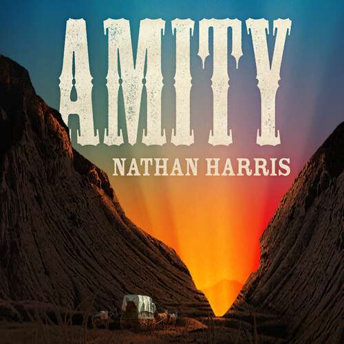Book cover of AMITY: from the Booker-longlisted author of The Sweetness of Water
