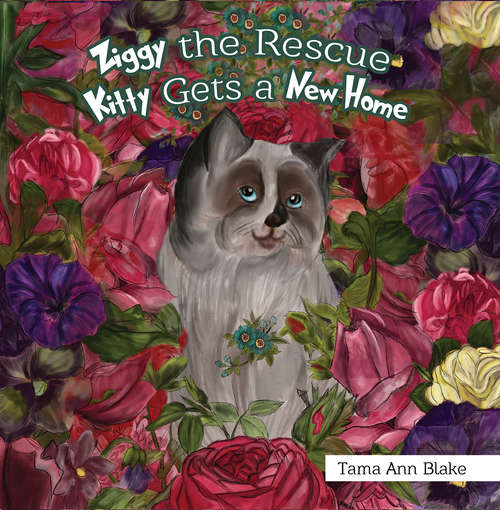 Book cover of Ziggy the Rescue Kitty Gets a New Home