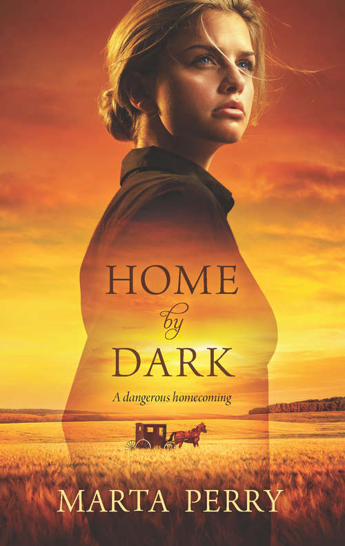 Book cover of Home by Dark