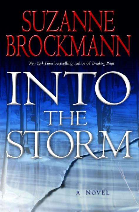 Book cover of Into the Storm: A Novel (Troubleshooters #10)