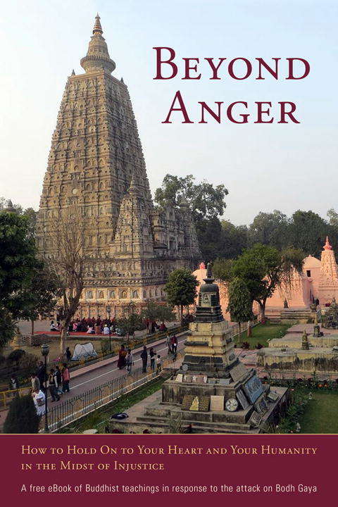 Book cover of Beyond Anger: How to Hold On to Your Heart and Your Humanity in the Midst of Injustice