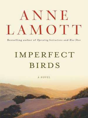 Book cover of Imperfect Birds