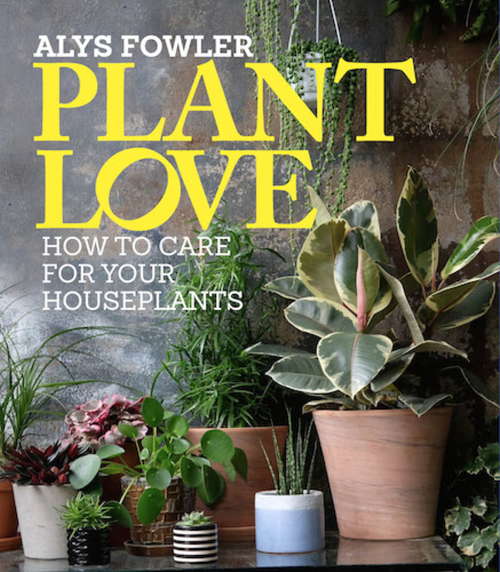 Book cover of Plant Love