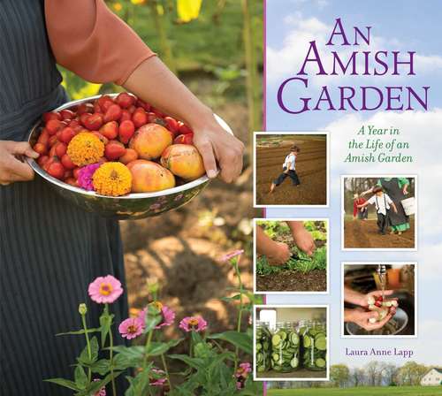 Book cover of Amish Garden