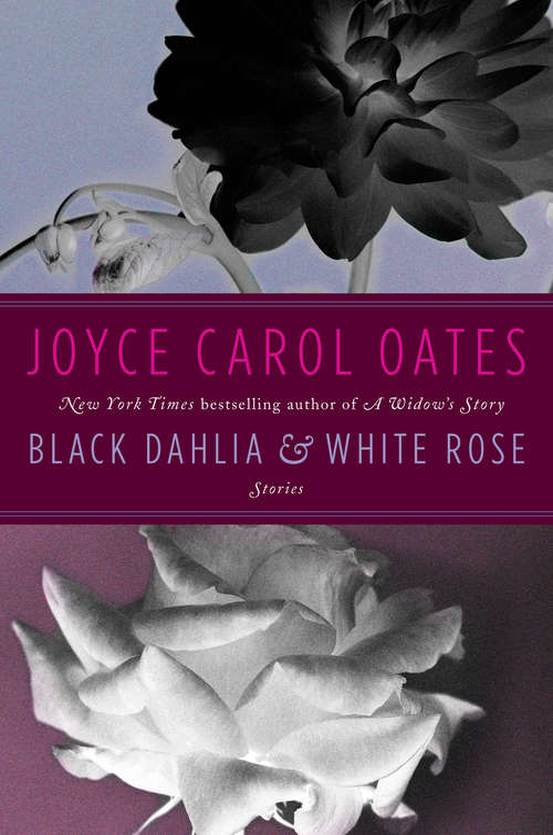 Book cover of Black Dahlia & White Rose