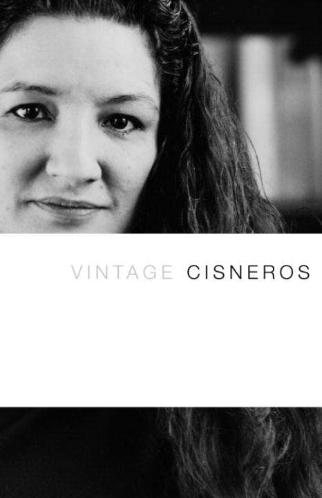 Book cover of Vintage Cisneros