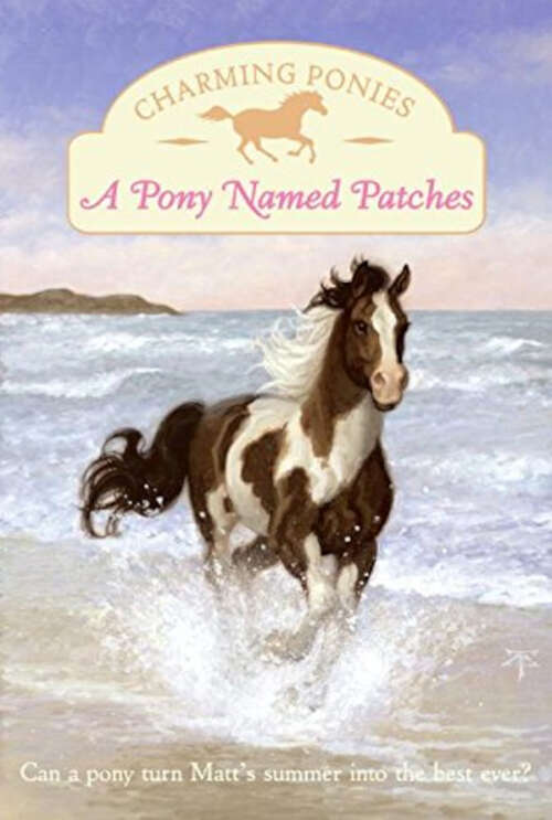 Book cover of Patches (Charming Ponies)
