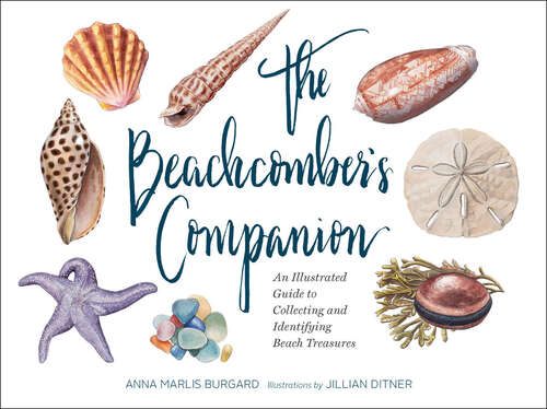 Book cover of The Beachcomber's Companion: An Illustrated Guide to Collecting and Identifying Beach Treasures