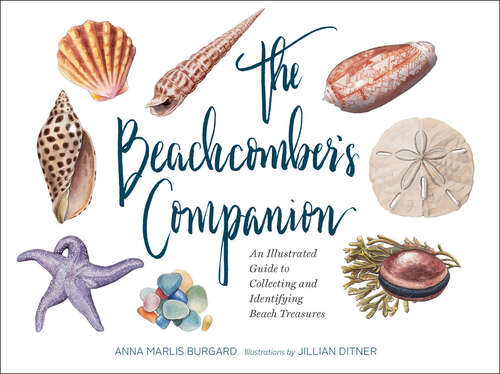 Book cover of The Beachcomber's Companion: An Illustrated Guide to Collecting and Identifying Beach Treasures