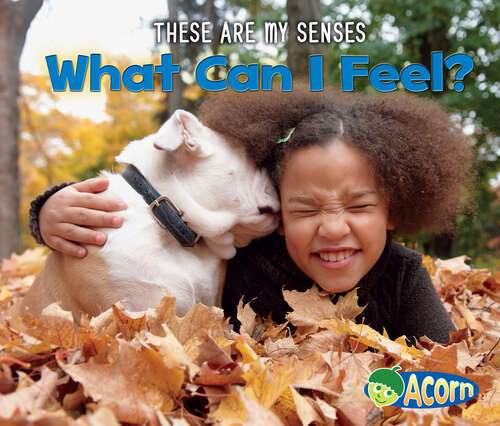 Book cover of What Can I Feel? (These Are My Senses Ser.)