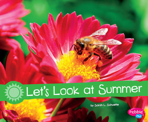 Book cover of Let’s Look at Summer: A 4d Book (Investigate The Seasons Ser.)