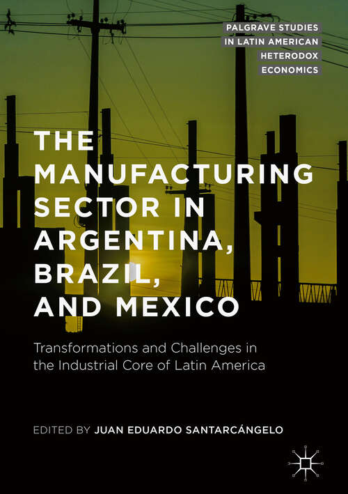 The Manufacturing Sector in Argentina, Brazil, and Mexico: Transformations and Challenges in the Industrial Core of Latin America (Palgrave Studies in Latin American Heterodox Economics)