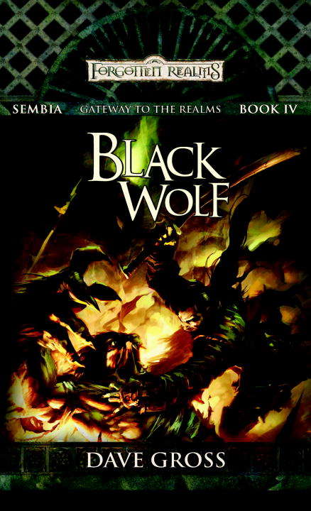 Book cover of Black Wolf (Forgotten Realms: Sembia #4)