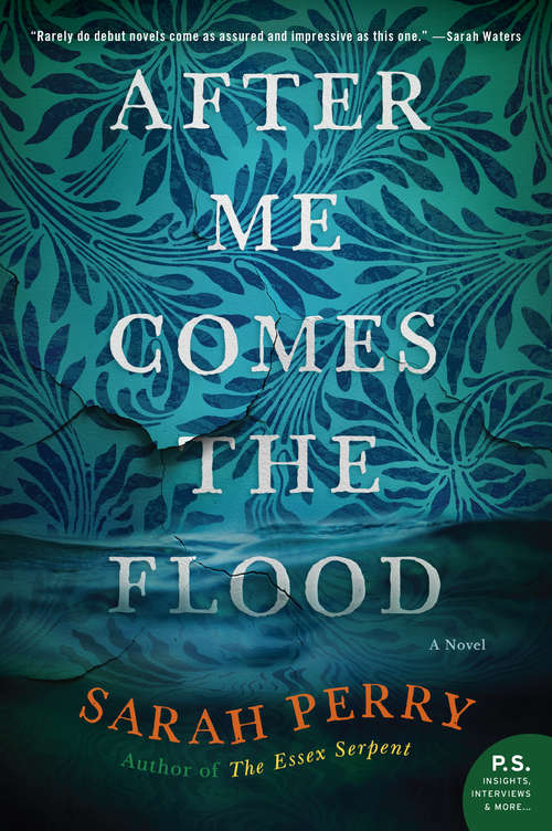 After Me Comes the Flood: A Novel