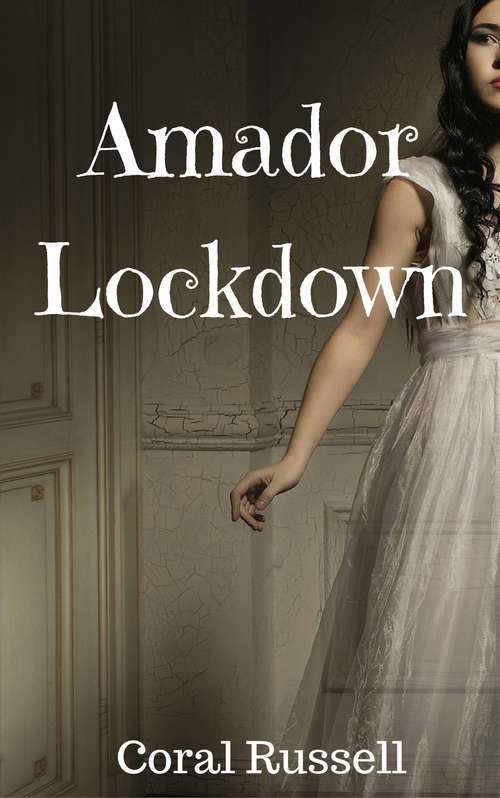Book cover of Amador Lockdown