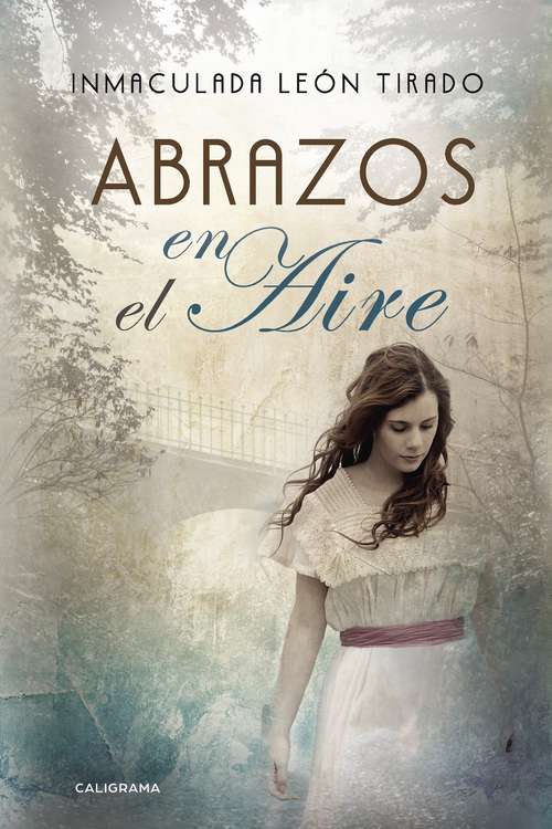 Book cover of Abrazos en el aire