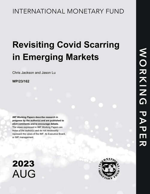 Book cover of Revisiting Covid Scarring in Emerging Markets