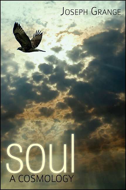 Book cover of Soul: A Cosmology
