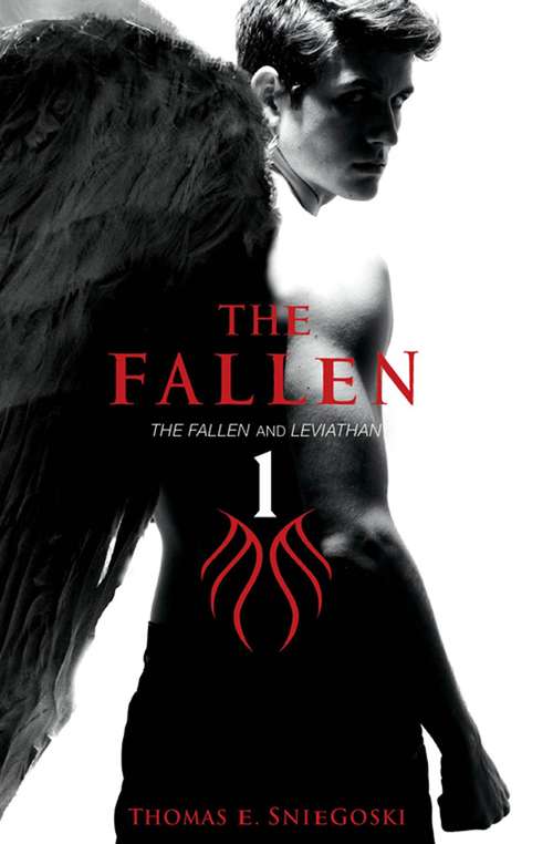 Book cover of The Fallen