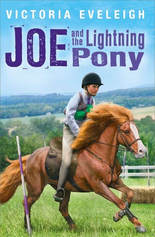 Book cover of Joe and the Lightning Pony: A boy and his horses, Book 2