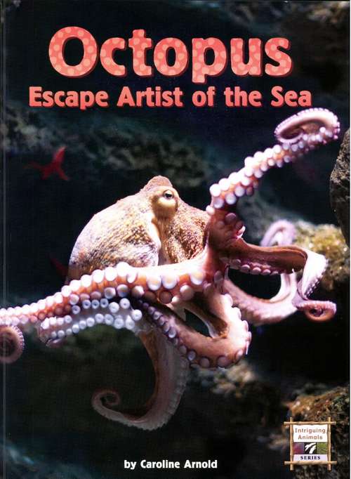 Book cover of Octopus Escape Artist of the Sea (Fountas & Pinnell LLI Gold: Level Q)