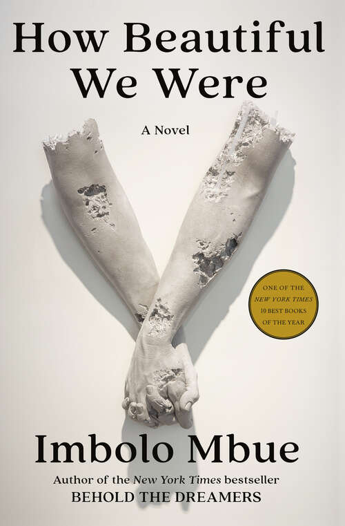 Book cover of How Beautiful We Were: A Novel