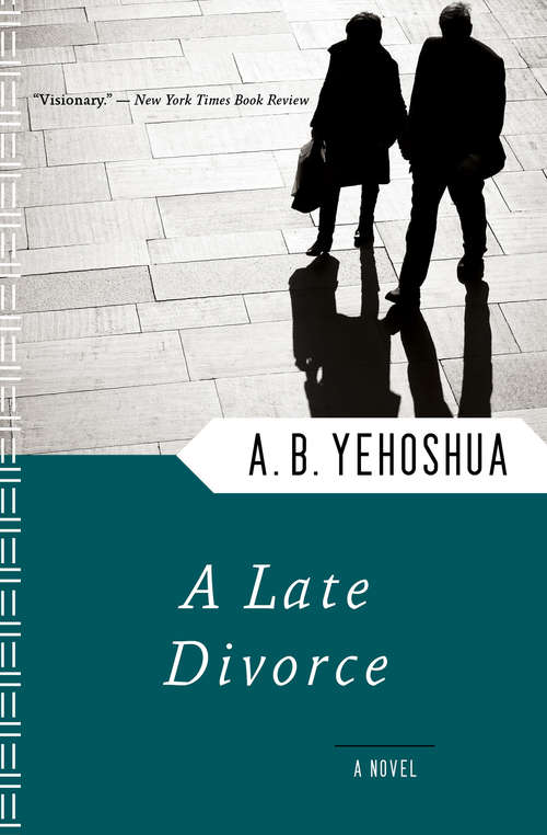 Book cover of A Late Divorce: A Novel