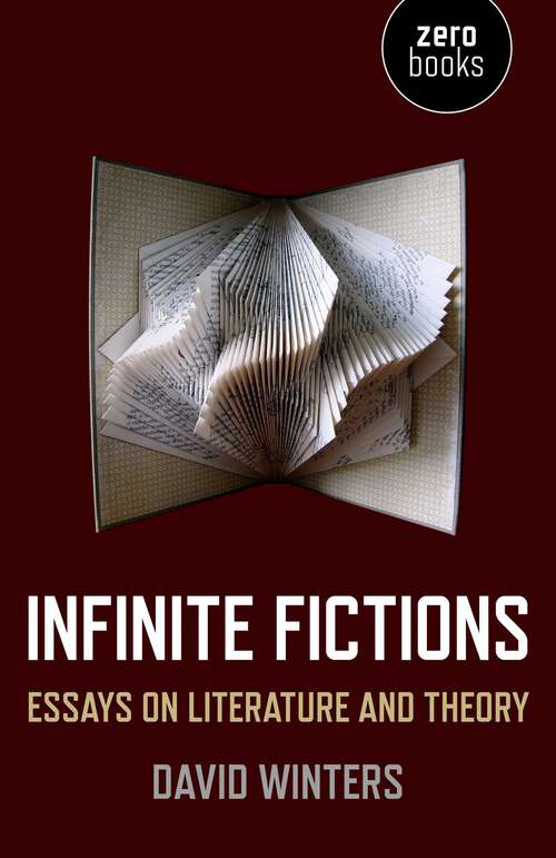 Book cover of Infinite Fictions: Essays on Literature and Theory