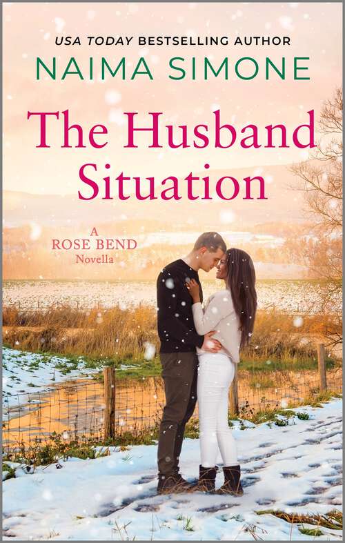 Book cover of The Husband Situation (Original) (Rose Bend)