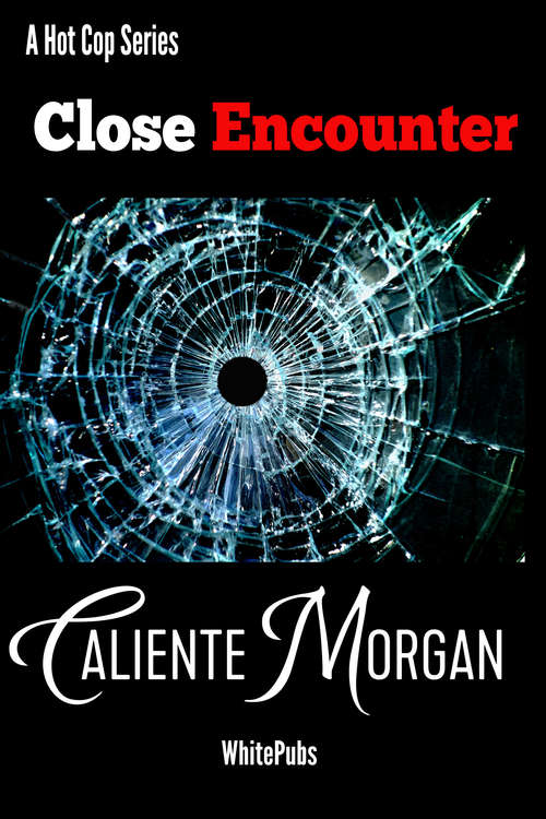 Book cover of Close Encounter