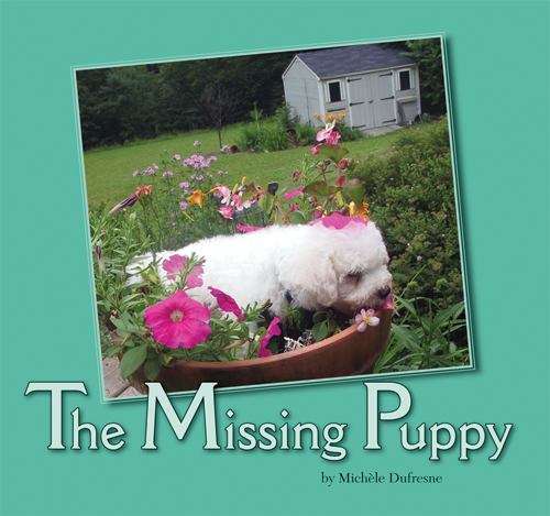Book cover of The Missing Puppy