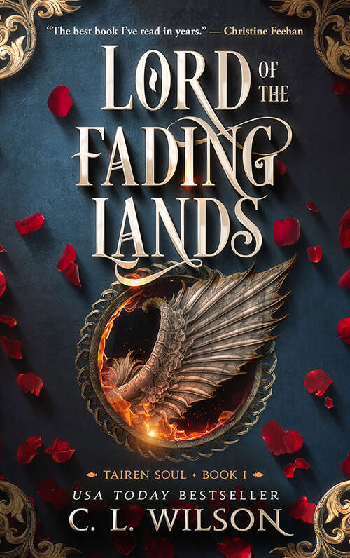 Book cover of Lord of the Fading Lands