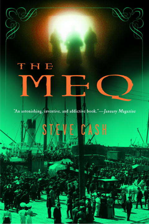 Book cover of The Meq