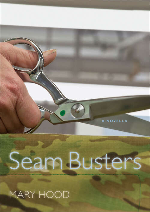 Book cover of Seam Busters: A Novella (Story River Bks.)