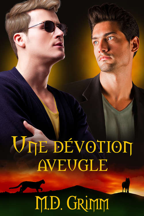 Book cover of Une dévotion aveugle (La saga des métamorphes #3)