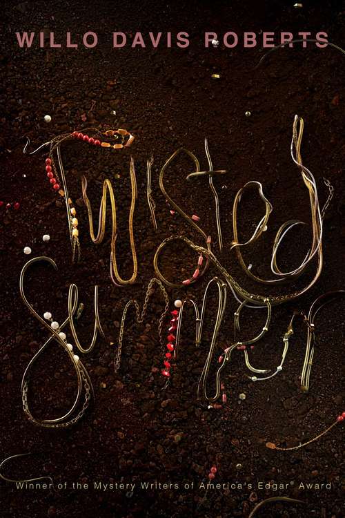 Book cover of Twisted Summer