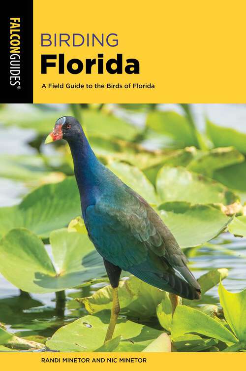 Book cover of Birding Florida: A Field Guide to the Birds of Florida (Birding Series)