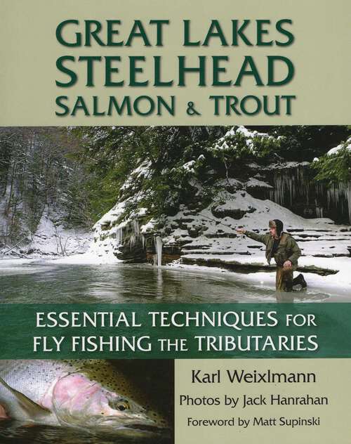 Book cover of Great Lakes Steelhead, Salmon & Trout