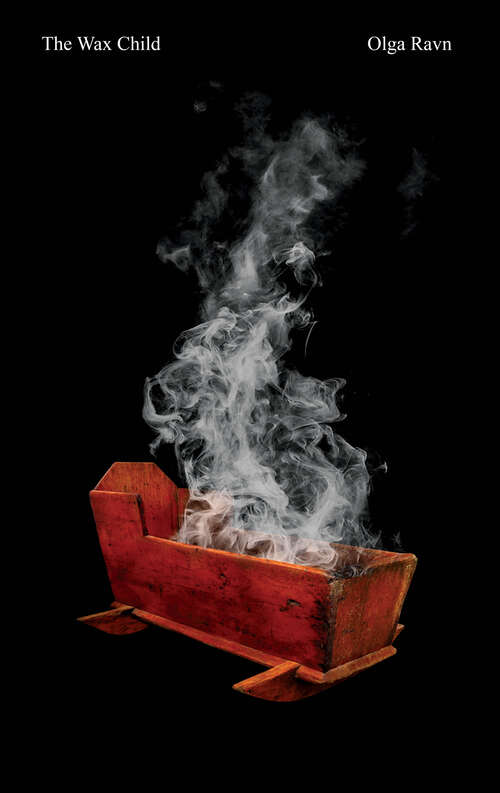 Book cover of The Wax Child