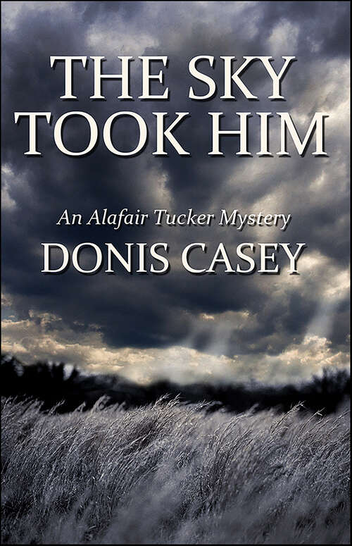 Book cover of The Sky Took Him: Alafair Tucker Mystery (Alafair Tucker Mysteries #4)