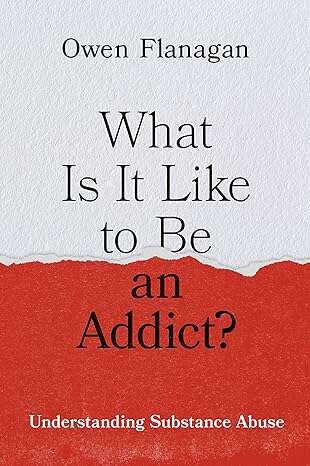 Book cover of What Is It Like to Be an Addict?: Understanding Substance Abuse