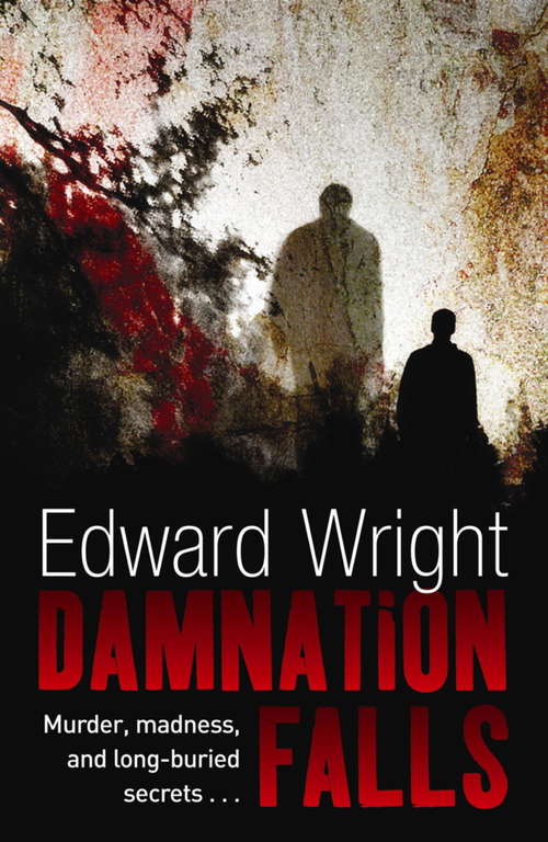 Book cover of Damnation Falls