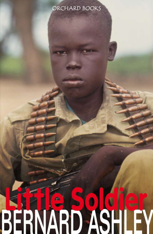 Book cover of Little Soldier