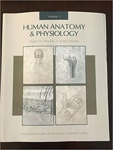Human Anatomy & Physiology (Volume #1)