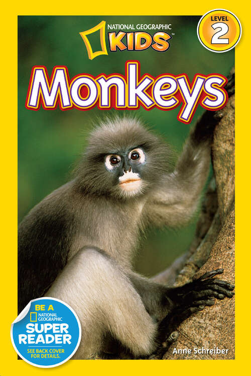 Book cover of Monkeys (Readers)