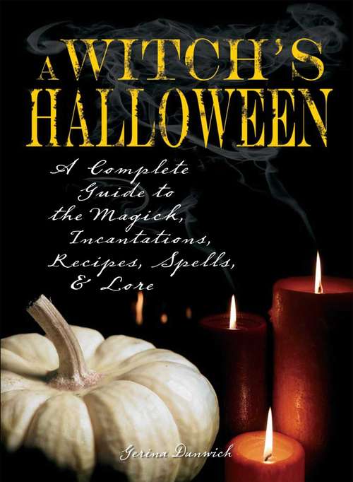 Book cover of Witch's Halloween
