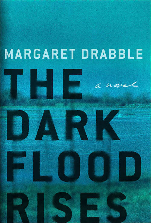 Book cover of The Dark Flood Rises: A Novel