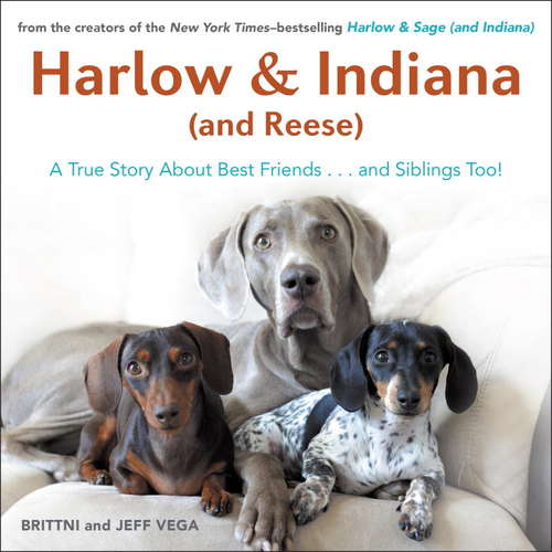Book cover of Harlow & Indiana (and Reese)